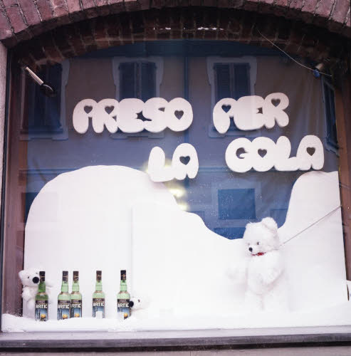 Immagine