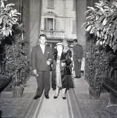 Apre l'immagine a più alta risoluzione 3041