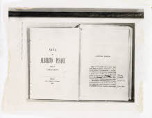 Apre l'immagine a più alta risoluzione 3107