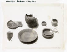 Apre l'immagine a più alta risoluzione 3110