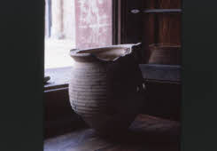 Apre l'immagine a più alta risoluzione 3161