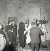 Apre l'immagine a più alta risoluzione 3163