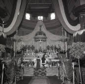 Apre l'immagine a più alta risoluzione 3171