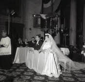 Apre l'immagine a più alta risoluzione 3172