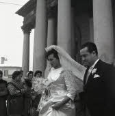 Apre l'immagine a più alta risoluzione 3174