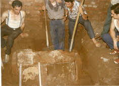 Apre l'immagine a più alta risoluzione 3183