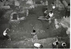 Apre l'immagine a più alta risoluzione 3186