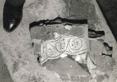 Apre l'immagine a più alta risoluzione 3197