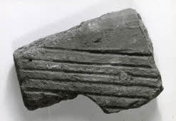 Apre l'immagine a più alta risoluzione 3201