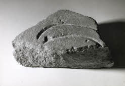 Apre l'immagine a più alta risoluzione 3205