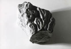 Apre l'immagine a più alta risoluzione 3206