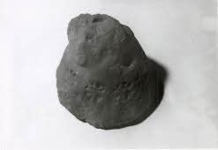 Apre l'immagine a più alta risoluzione 3207