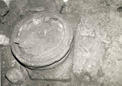 Apre l'immagine a più alta risoluzione 3209