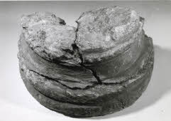 Apre l'immagine a più alta risoluzione 3210