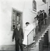 Apre l'immagine a più alta risoluzione 3231