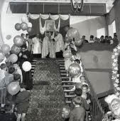 Apre l'immagine a più alta risoluzione 3251