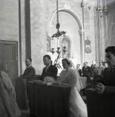 Apre l'immagine a più alta risoluzione 3254