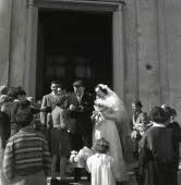 Apre l'immagine a più alta risoluzione 3255