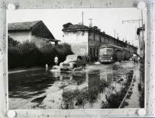 Apre l'immagine a più alta risoluzione 3256