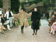 Apre l'immagine a più alta risoluzione 3316