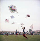 Apre l'immagine a più alta risoluzione 3326