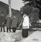 Apre l'immagine a più alta risoluzione 3333