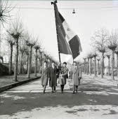 Apre l'immagine a più alta risoluzione 3335